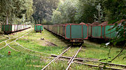 Torfbeladene Moorbahnloren bei Westerbeck