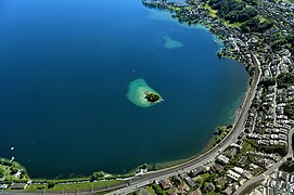 Schönenwerd island near Richterswil