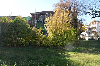 Les Moulins de Saint-Donat.