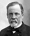 Q529 Louis Pasteur in 1878 overleden op 28 september 1895