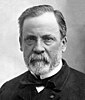 Louis Pasteur.