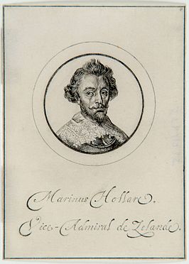 Marinus Hollaer