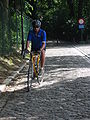 De Muur van Geraardsbergen (el Mur de Geraarsbergen).