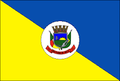 Bandeira de São Pedro do Butiá