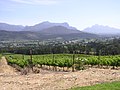 Das Tal von Franschhoek