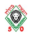 סמל פלוגת הרובאית של גדוד 50