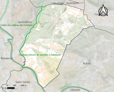 Carte des ZNIEFF de type 1 sur la commune.