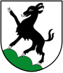 Kitzbühel – znak