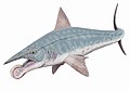 Helicoprion bessonovi