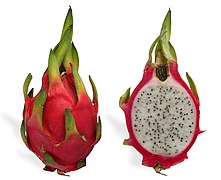 File:Pitaya cross section ed2.jpg (2012-06-05)