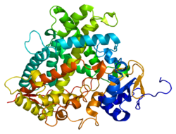 Cytochrom P450 1A2