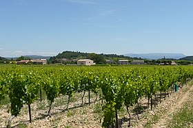 Image illustrative de l’article Luberon (AOC)