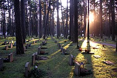 Gravar på Skogskyrkogården.