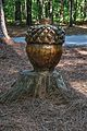 Acorn Carving at Dauset Trails Nature Center