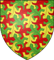 Heraldikk skjold med mønster av Escher