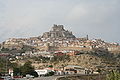 Morella