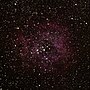 Thumbnail for NGC 2244