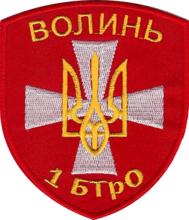 нарукавный знак 1-го бТрО