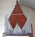 The organ