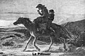 Exemple histoire du cheval Breton : pilhaouer (colporteur) sur un bidet allant l'amble.