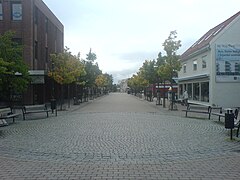 Rue commerçante et piétonne du centre-ville