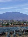 Volcán de Tequila