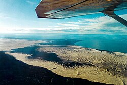 The Athabasca Sand Dunes