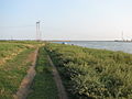 Dirt road toward the lake