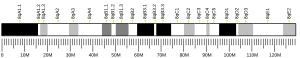 Chromosome 8 (mouse)