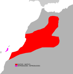 Mapa de distribución de A. getulus.