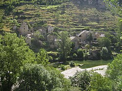 Les vignes en terrasses de Haute-Rive, commune de Sainte-Enimie, en Lozère.