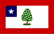 State flag (1861–1865)