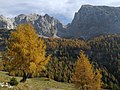 Cima di Ghez e Doss di Dalun in autunno