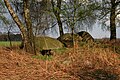 Megalithic chambered tomb "Dübberort I"