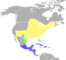 Carte présentant les zones de répartition décrites dans le texte qui suit.