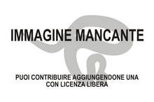 Immagine di Harpactognathus gentryi mancante