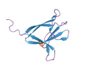 2f15: Glycogen-Binding Domain Of The Amp-Activated Protein Kinase beta2 Subunit