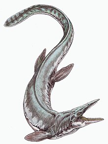 Tylosaurus proriger12DB.jpg