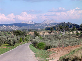 Landschap in de Alpilles nabij Le Destet. De drie landschapsvormen kunnen hierin duidelijk worden onderscheiden: gecultiveerd land op de lagere hellingen, bomen op de uitlopers en kale rotsen aan de toppen