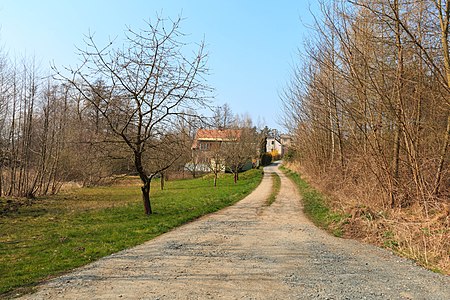 Route de campagne.