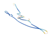 CUTL1 protein.png