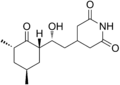 Cicloheximida.