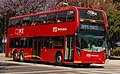 Image 74Alexander Dennis Enviro500 MMC double-decker bus on Mexico City Metrobús' new line 7 running along Calzada de los Misterios (from Double-decker bus)