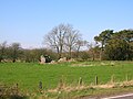 The ruins of the old Mosside farm on the Montgreenan estate near Bloak Moss.