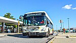 A white bus, seen from the front