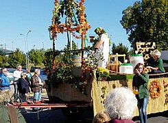 Weinfest in Meißen Festumzug