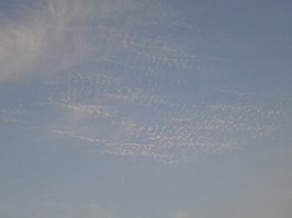 Cirrocumulus