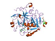 1mue: Thrombin-Hirugen-L405,426