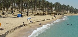 Beach in the city of Arish