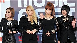 2NE1 from acrofan 2.jpg